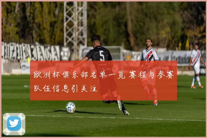 欧洲杯俱乐部名单一览 赛程与参赛队伍信息引关注