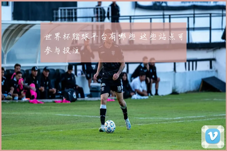 世界杯赌球平台有哪些 这些站点可参与投注