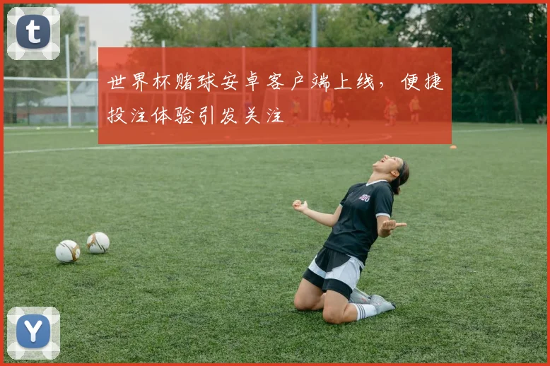 世界杯赌球安卓客户端上线,便捷投注体验引发关注