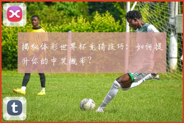 揭秘体彩世界杯竞猜技巧：如何提升你的中奖概率？